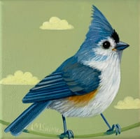 Image 1 of Petite Tufted Titmouse