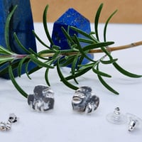 Image 1 of Silver Monsteria Leaf Studs (SJ073)