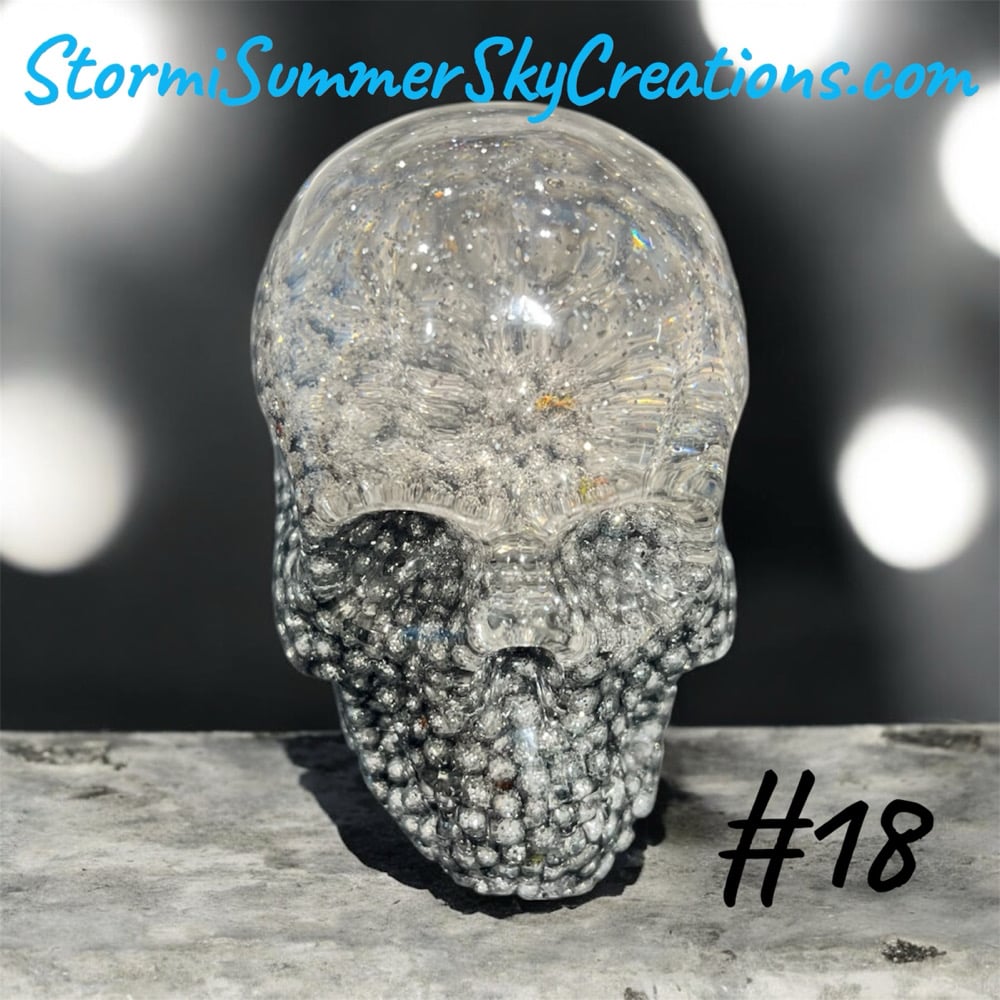 Image of Medium Sized Skulls