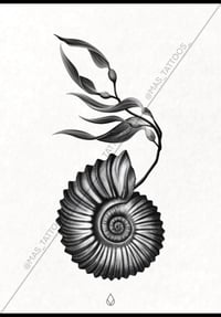 Ammonite