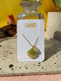 Vénus lichen limoncello