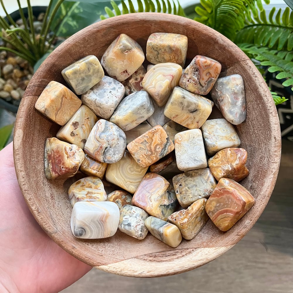 Crazy Lace Agate Tumble