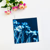 Geraldton Wax Flower Art Card
