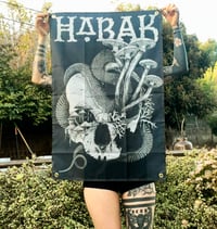 Image 1 of Polilla & Craneo Banners