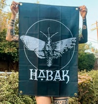 Image 2 of Polilla & Craneo Banners