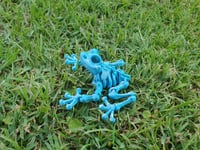 Image 1 of Skeleton Frog