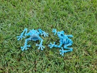 Image 2 of Skeleton Frog