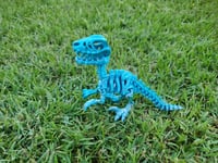 Image 1 of Skeleton Raptor 