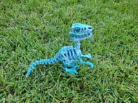 Image 2 of Skeleton Raptor 