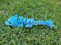 Image 1 of Blue/Silver Baby Storm Dragon 
