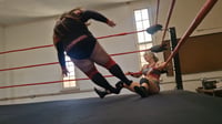 Image 4 of Dominating Dominita Vs Chardonnay 