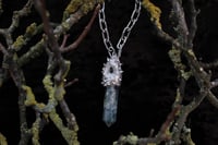 Image 2 of Dead Good fly amulet 