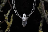 Image 3 of Dead Good fox tooth and quartz necklace 