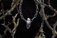 Image 4 of Dead Good fox tooth and quartz necklace 