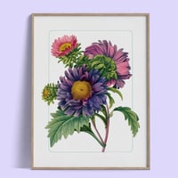 La Reine-Marguerite