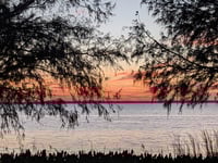Image 4 of Picture of the month !!! Choose from this months or months past 