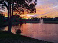 Image 5 of Picture of the month !!! Choose from this months or months past 