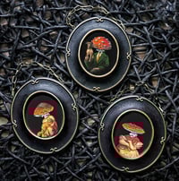 Image 1 of Fungi Folk Portraits I