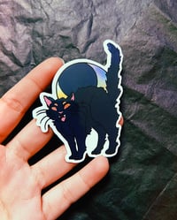 Image 2 of HERE KITTY KITTY