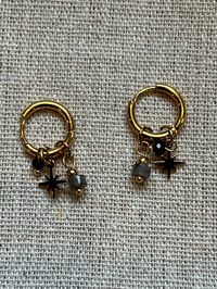 Image 1 of Stainless Steel Earrings Black stone Charms Gold