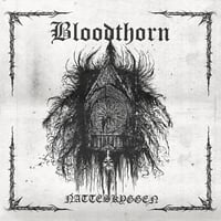 Image 2 of Bloodthorn - Natteskyggen - MLP