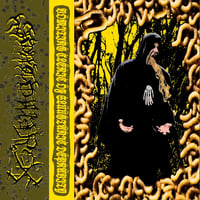 Wëřšlüüğ Mëthëlmëžqhül - Vömitiňğ Člëřič - CASS