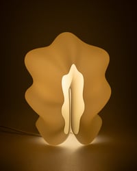 Image 2 of Méduse