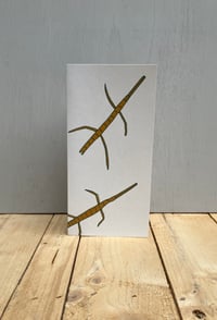 Image 1 of stick insect card 