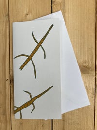 Image 3 of stick insect card 