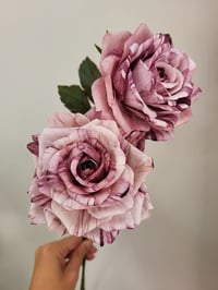 Image 1 of 'Heather' Mauve Single Rose Stem