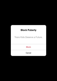 Image 2 of block wes streeting