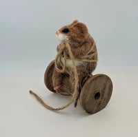 Image 2 of In a pickle!