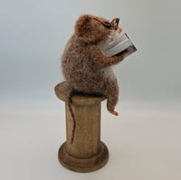 Image 3 of Reel Reader