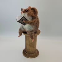 Image 1 of Reel Reader