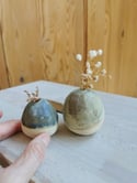 Bolitas Cielo