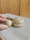 Bolitas Cielo