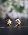 18K Gold Dogwood Crown Studs