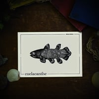 Image 1 of COELACANTHE