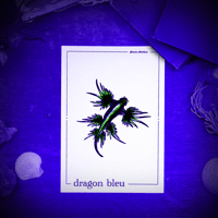 Image 2 of DRAGON BLEU DES MERS