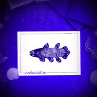 Image 2 of COELACANTHE