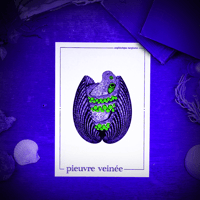 Image 2 of PIEUVRE VEINÉE