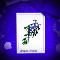 Image 2 of DRAGON-FEUILLU