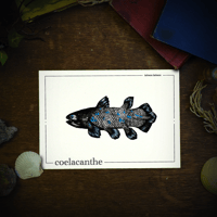 Image 3 of COELACANTHE