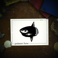 Image 3 of POISSON-LUNE
