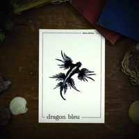 Image 3 of DRAGON BLEU DES MERS