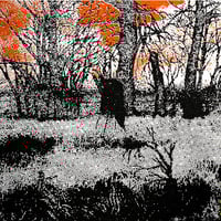 Image 4 of NO FUTURE