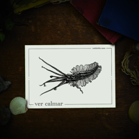 Image 1 of VER-CALMAR