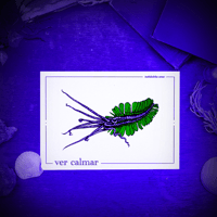 Image 2 of VER-CALMAR