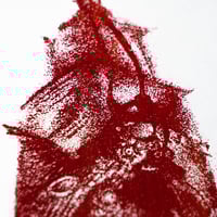 Image 5 of SAMOURAÏ