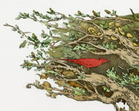 Image 3 of Red Bird & The Troll